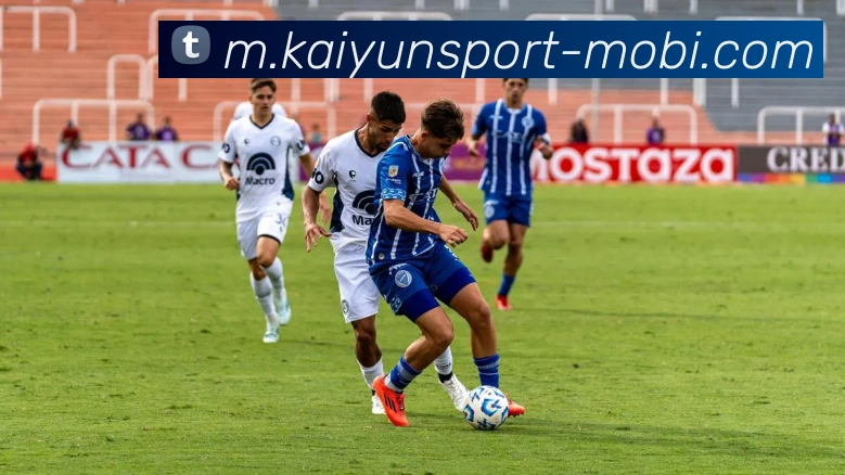 奖项证书